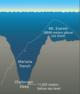 real ocean trenches
